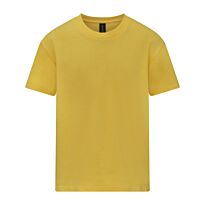 Softstyle™ Midweight Youth T-Shirt