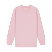 Kids Mini Changer 2.0 Iconic Crew Neck Sweatshirt (Stsk181)