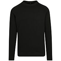 Raglan Sweat Crew Neck