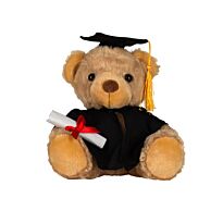 Graduation Bear