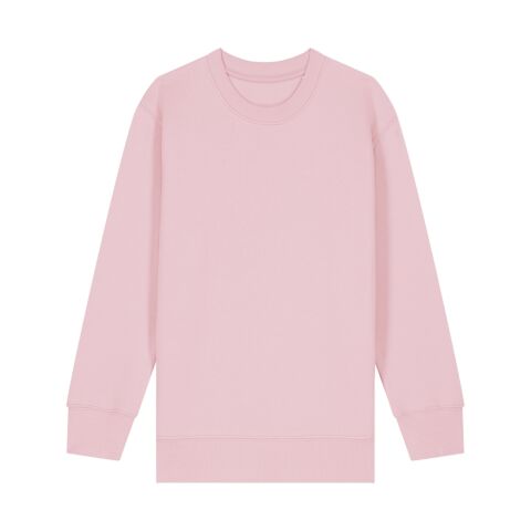 Kids Mini Changer 2.0 Iconic Crew Neck Sweatshirt (Stsk181)