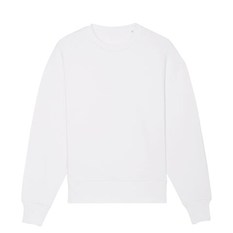 Radder Oversized Brushed Crewneck (Stsu857)